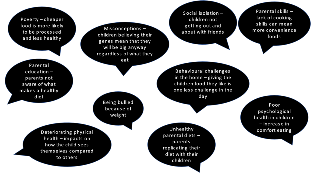 Number of speech bubbles looking at various other potential social causes of obesity