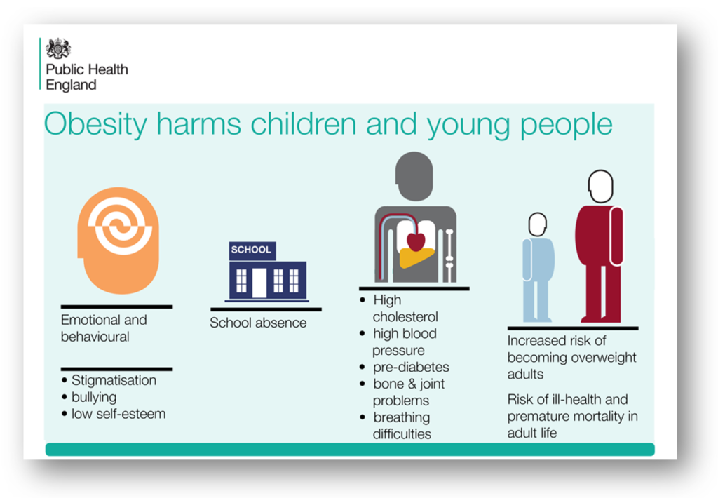 Childhood Obesity A Safeguarding Issue Safeguarding Network